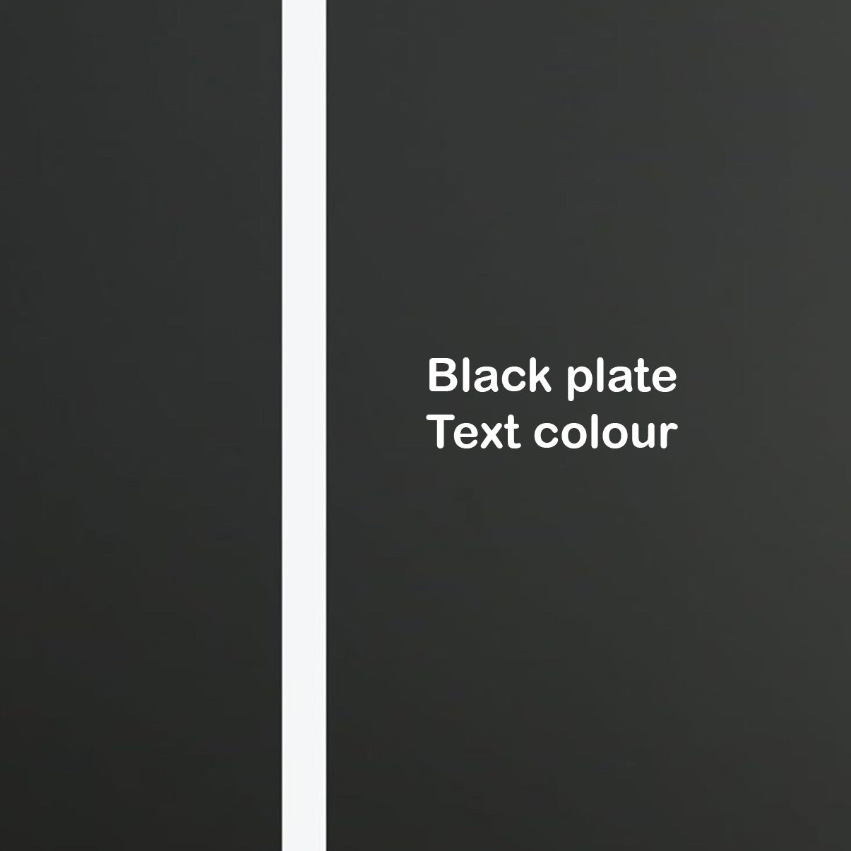 Acrylic "No Pets Allowed" Sign